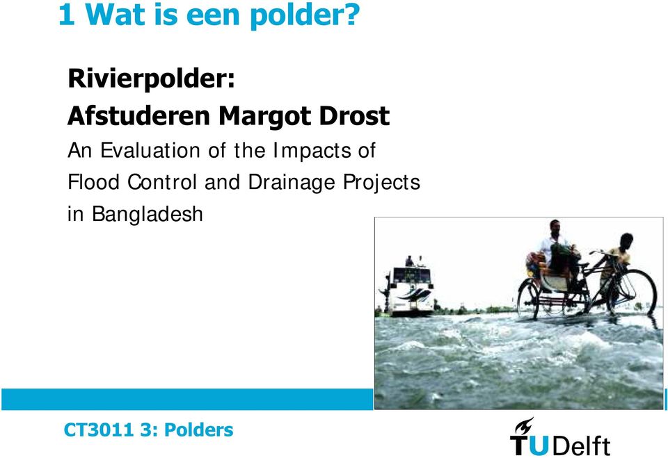 Drost An Evaluation of the Impacts