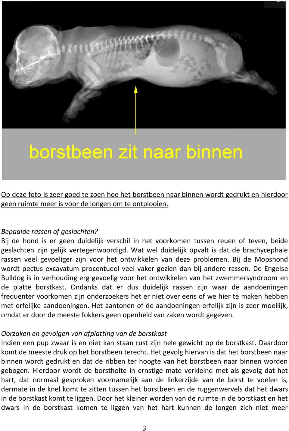 Wat wel duidelijk opvalt is dat de brachycephale rassen veel gevoeliger zijn voor het ontwikkelen van deze problemen.