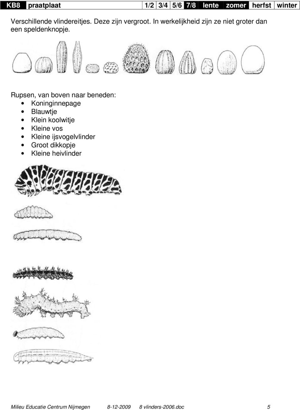 Rupsen, van boven naar beneden: Koninginnepage Blauwtje Klein koolwitje Kleine vos Kleine