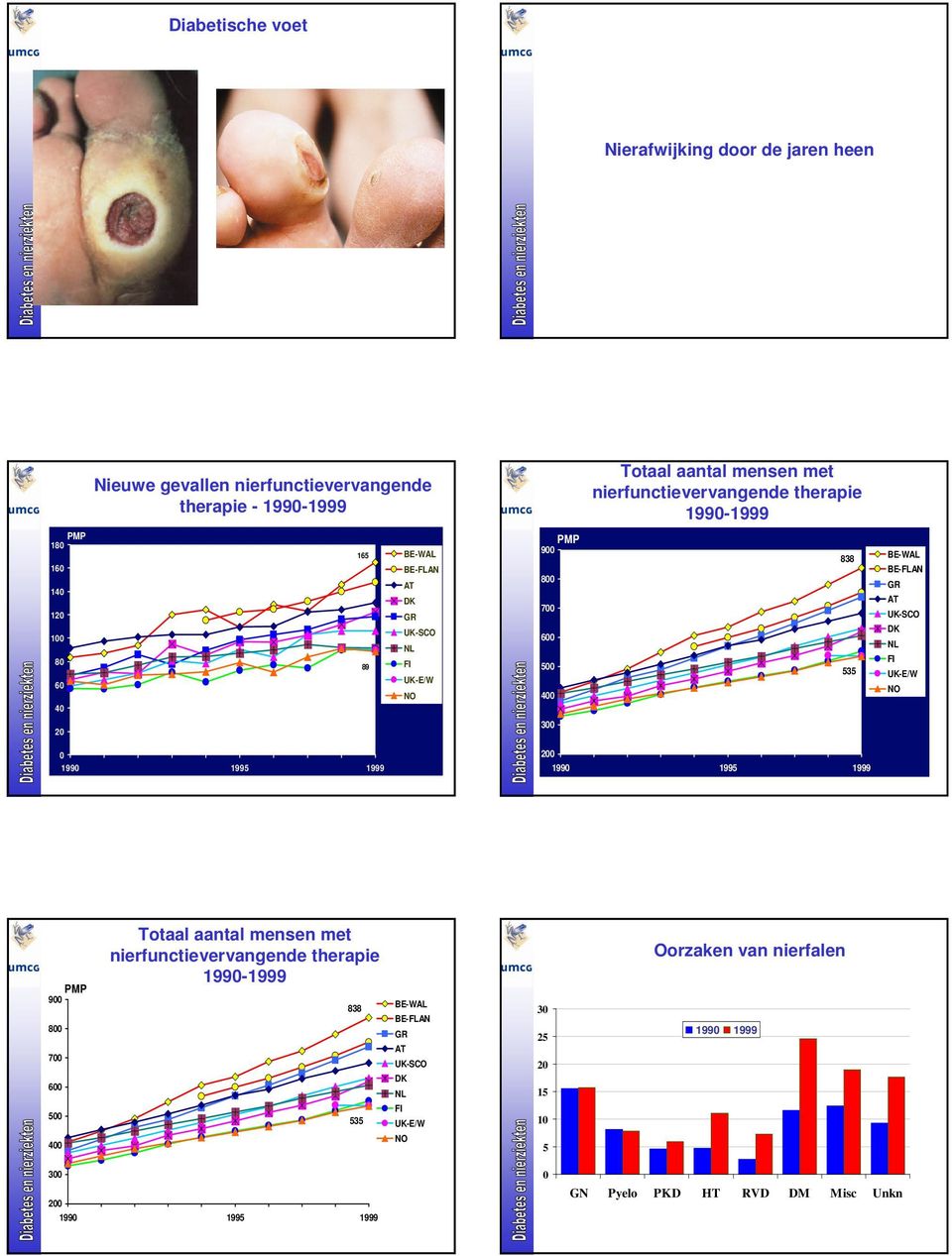 BE-WAL BE-FLAN GR AT UK-SCO DK NL FI UK-E/W NO 2 3 199 1995 1999 2 199 1995 1999 PMP 9 8 7 6 Totaal aantal mensen met nierfunctievervangende