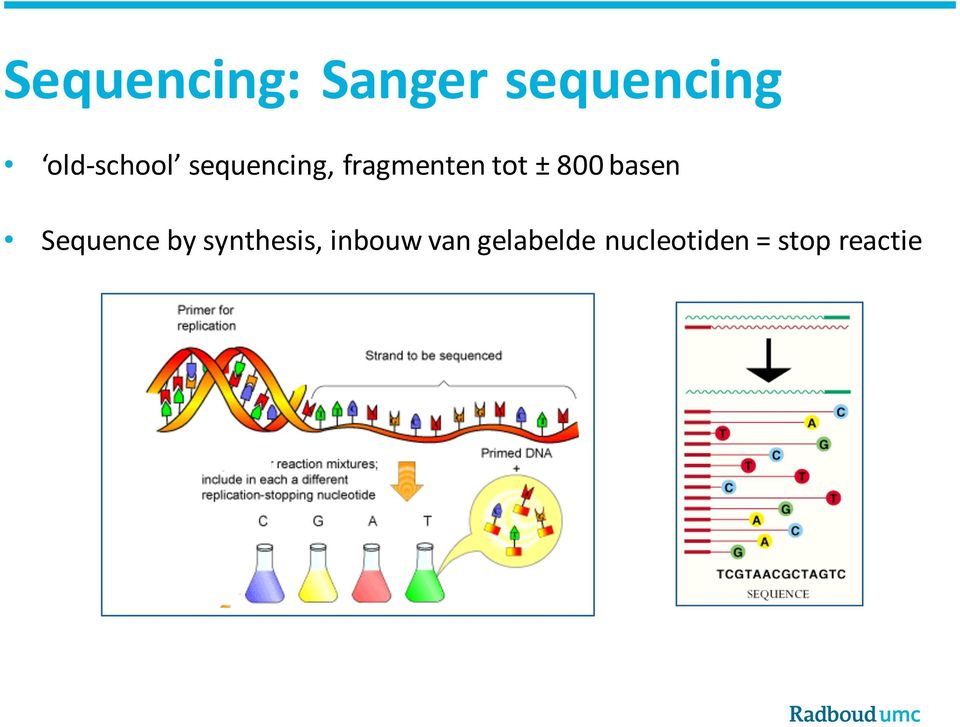 ± 800 basen Sequence by synthesis,