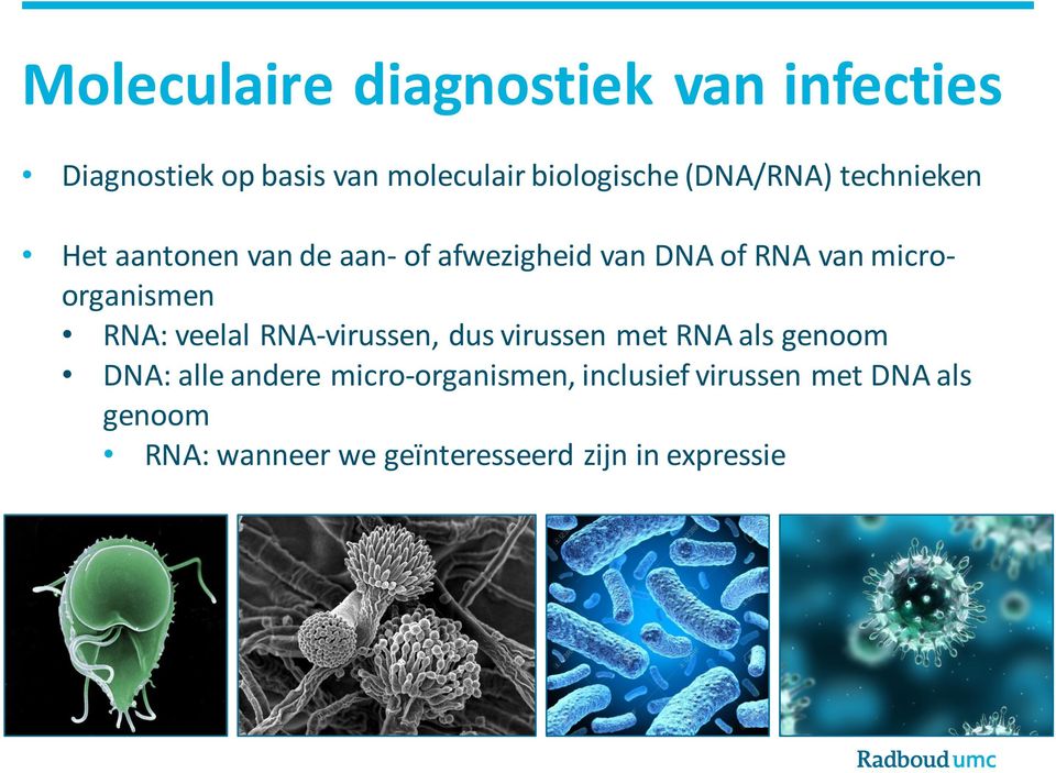microorganismen RNA: veelal RNA-virussen, dus virussen met RNA als genoom DNA: alle andere