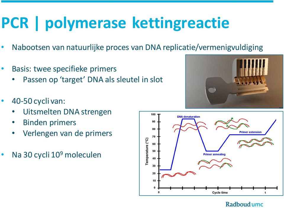 Passen op target DNA als sleutel in slot 40-50 cycli van: Uitsmelten