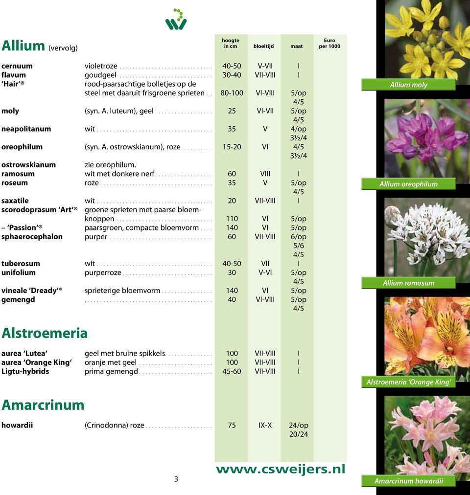 A. ostrowskianum), roze.......... 15-20 VI 4/5 8, 3½/4 5,50 ostrowskianum zie oreophilum. ramosum wit met donkere nerf.................. 60 VIII I 600, roseum roze................................... 35 V 5/op 16, 4/5 12, saxatile wit.