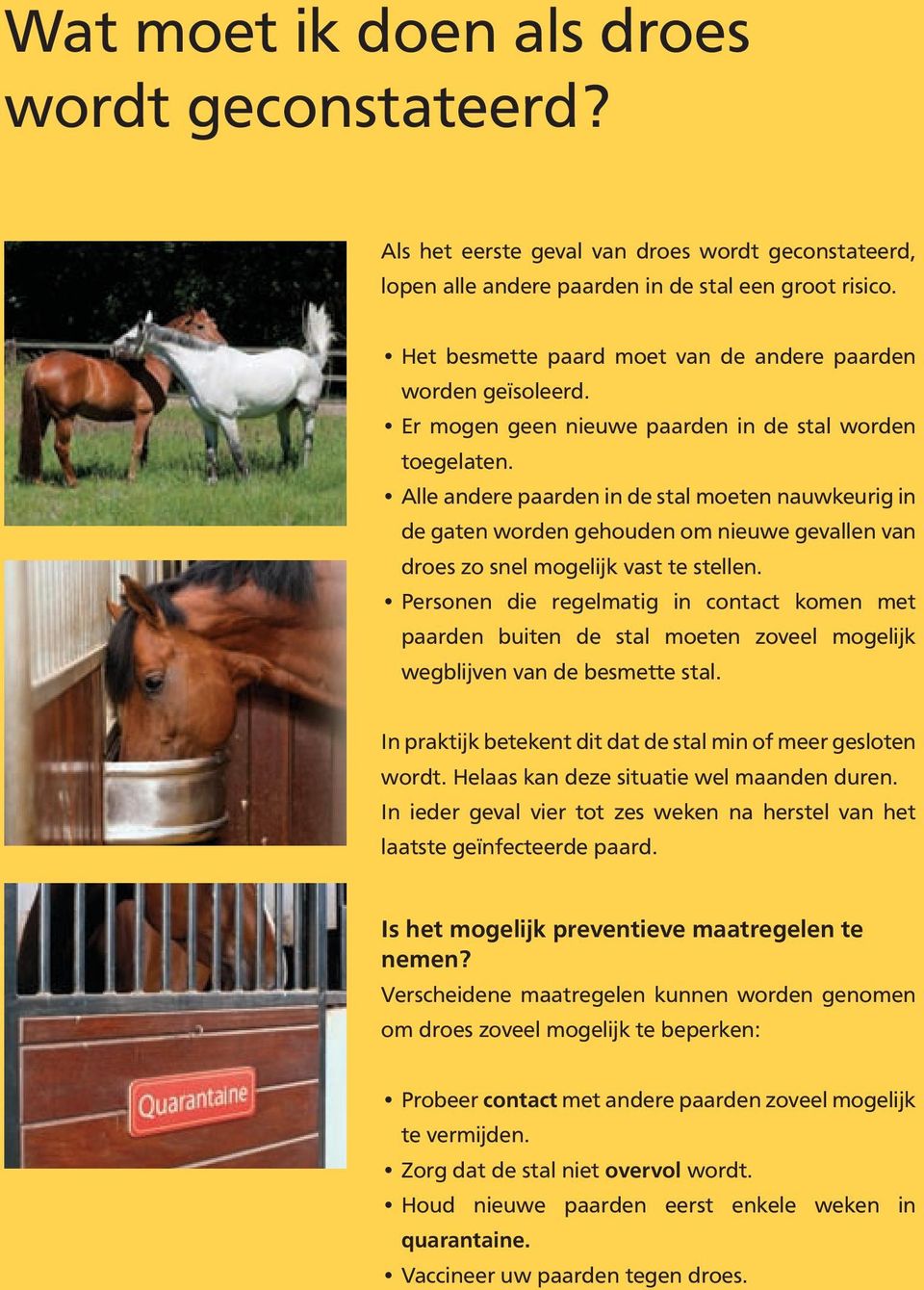 Alle andere paarden in de stal moeten nauwkeurig in de gaten worden gehouden om nieuwe gevallen van droes zo snel mogelijk vast te stellen.