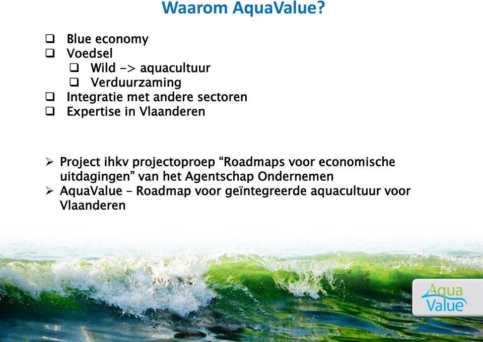 andere sectoren Expertise in Vlaanderen Project ihkv projectoproep