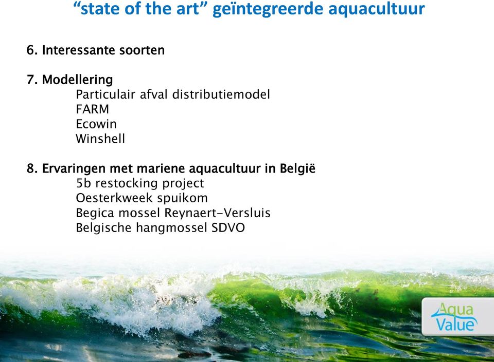 Ervaringen met mariene aquacultuur in België 5b restocking project