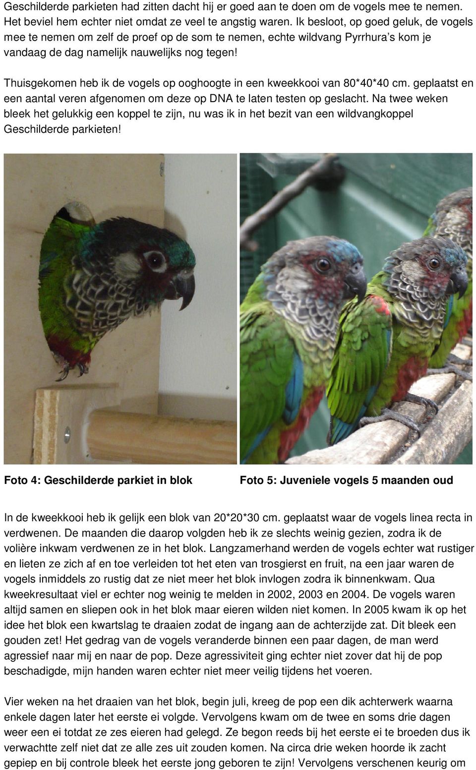 Thuisgekomen heb ik de vogels op ooghoogte in een kweekkooi van 80*40*40 cm. geplaatst en een aantal veren afgenomen om deze op DNA te laten testen op geslacht.