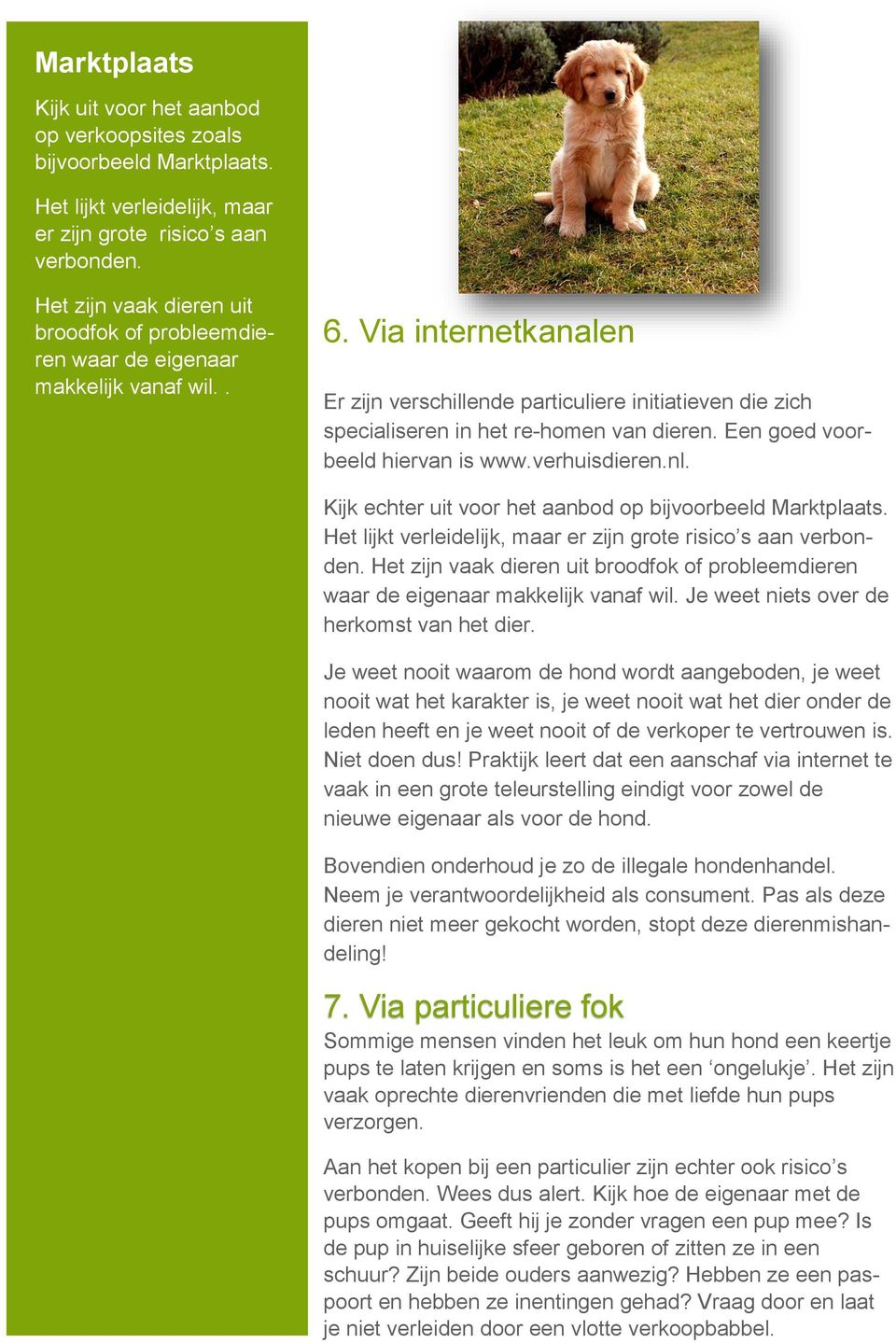 Via internetkanalen Er zijn verschillende particuliere initiatieven die zich specialiseren in het re-homen van dieren. Een goed voorbeeld hiervan is www.verhuisdieren.nl.
