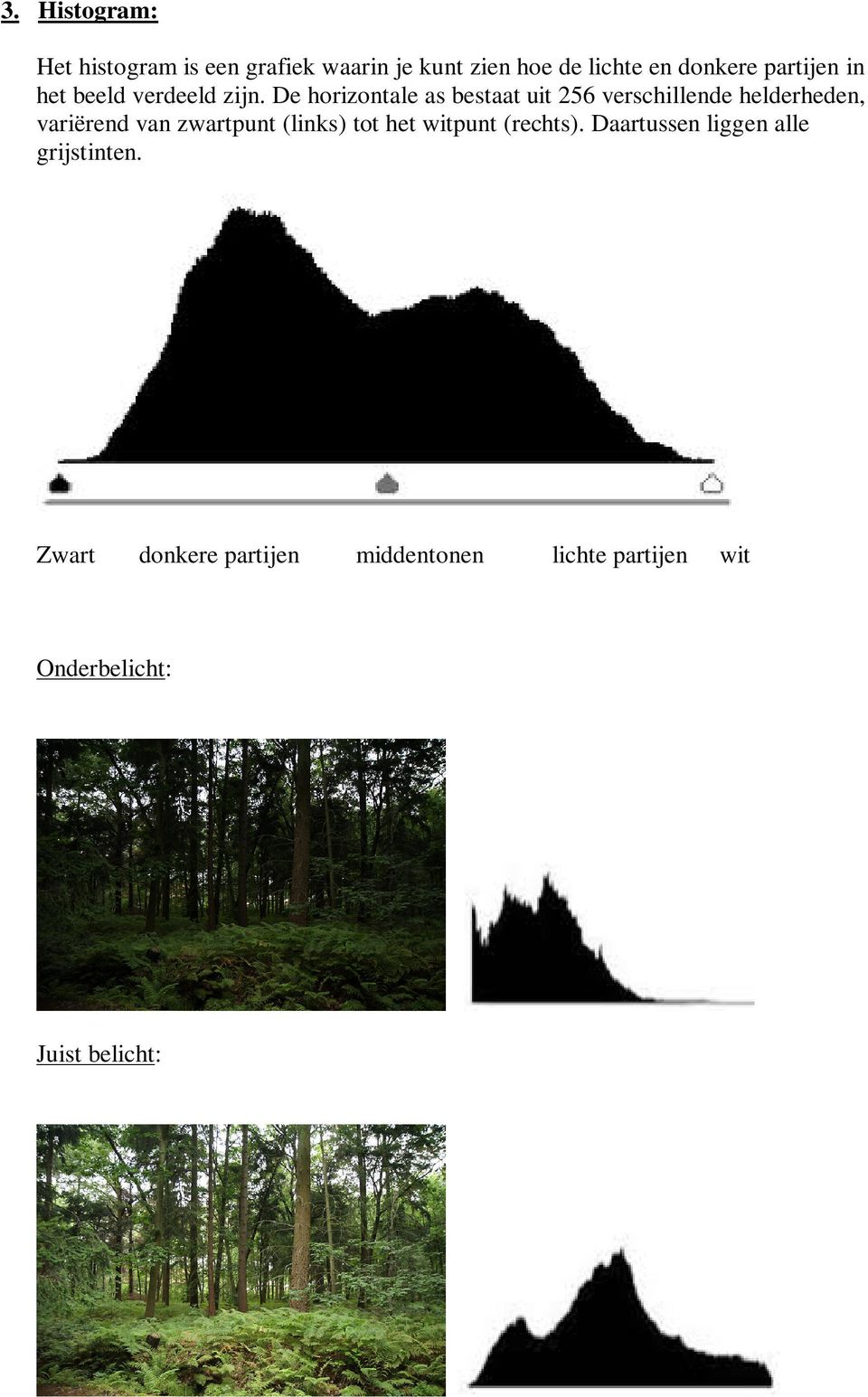 De horizontale as bestaat uit 256 verschillende helderheden, variërend van zwartpunt