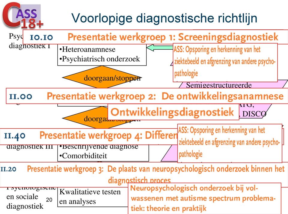 Comorbiditeit doorgaan/stoppen Kwalitatieve testen en analyses Screeningsvragenlijsten: AQ, VISV Bij patient of partner Semigestructureerde instrumenten: SCQ,