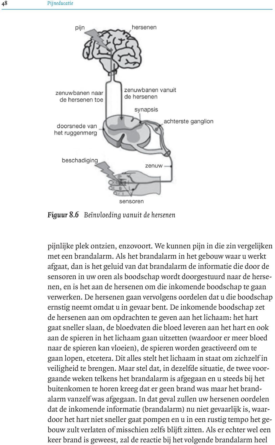 aan de hersenen om die inkomende boodschap te gaan verwerken. De hersenen gaan vervolgens oordelen dat u die boodschap ernstig neemt omdat u in gevaar bent.