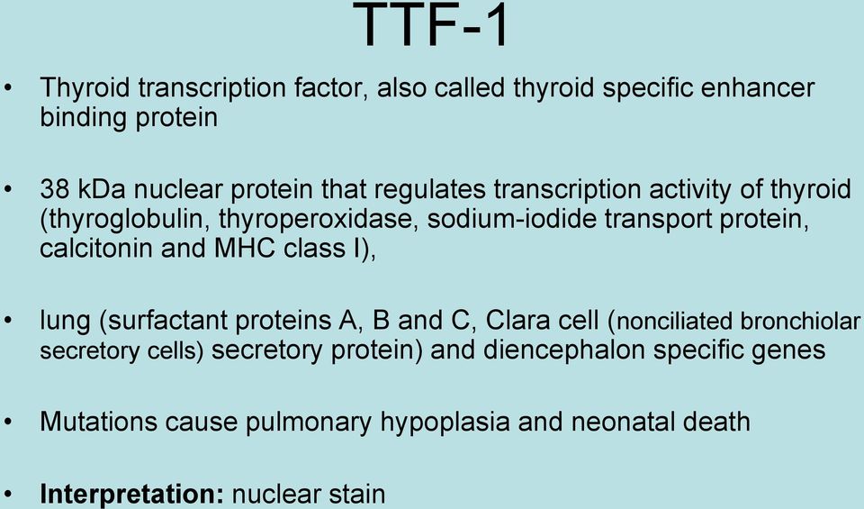 and MHC class I), lung (surfactant proteins A, B and C, Clara cell (nonciliated bronchiolar secretory cells) secretory