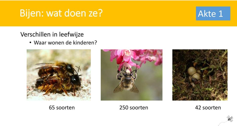 Waar wonen de kinderen?