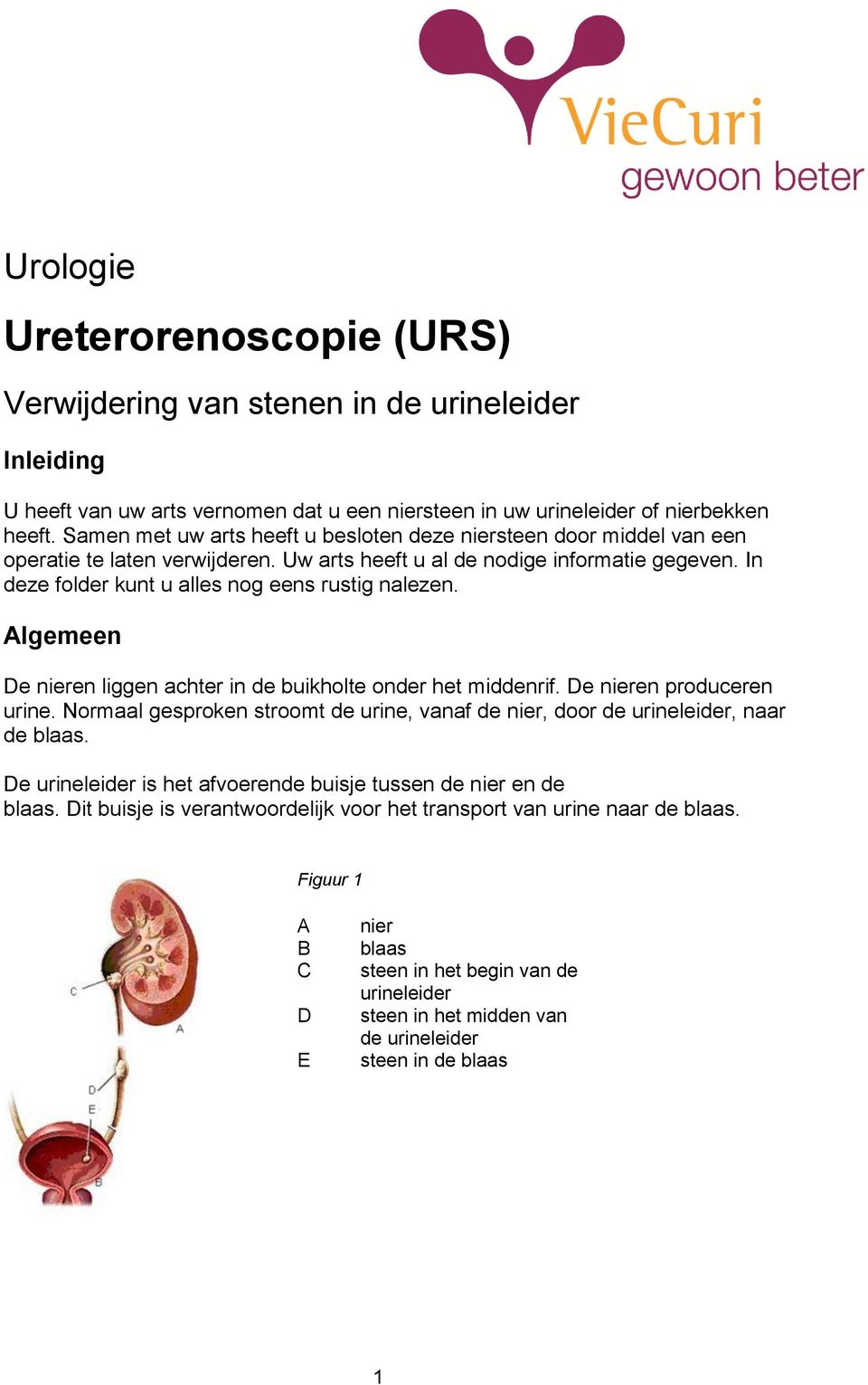 In deze folder kunt u alles nog eens rustig nalezen. Algemeen De nieren liggen achter in de buikholte onder het middenrif. De nieren produceren urine.