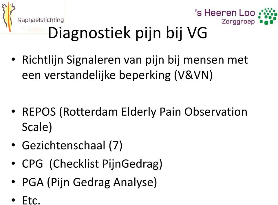(Rotterdam Elderly Pain Observation Scale)