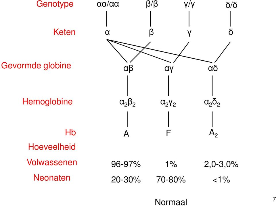 2 γ 2 α 2 δ 2 Hoeveelheid Hb A F A 2 Volwassenen