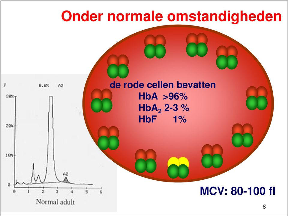 cellen bevatten HbA >96%