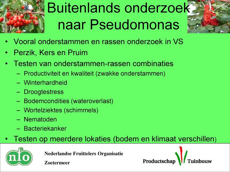 onderstammen) Winterhardheid Droogtestress Bodemcondities (wateroverlast) Wortelziektes