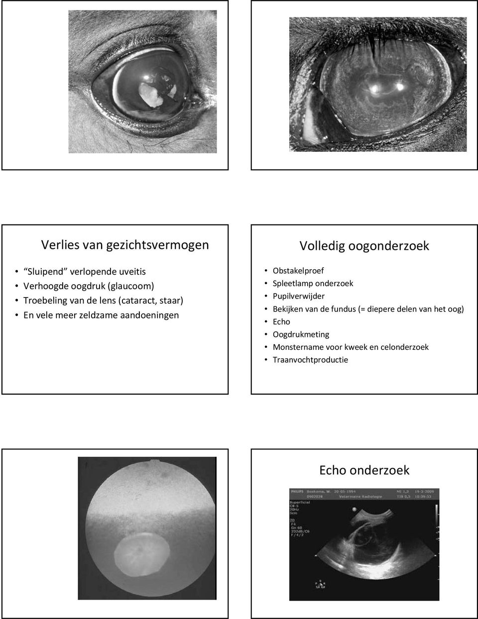 oogonderzoek Obstakelproef Spleetlamp onderzoek Pupilverwijder Bekijken van de fundus (=