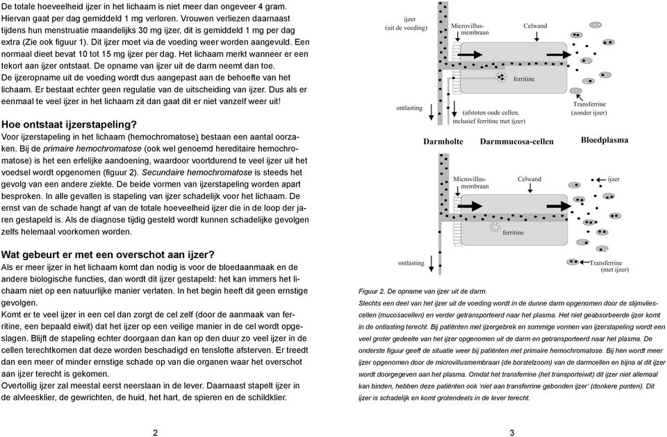 Een normaal dieet bevat 10 tot 15 mg ijzer per dag. Het lichaam merkt wanneer er een tekort aan ijzer ontstaat. De opname van ijzer uit de darm neemt dan toe.