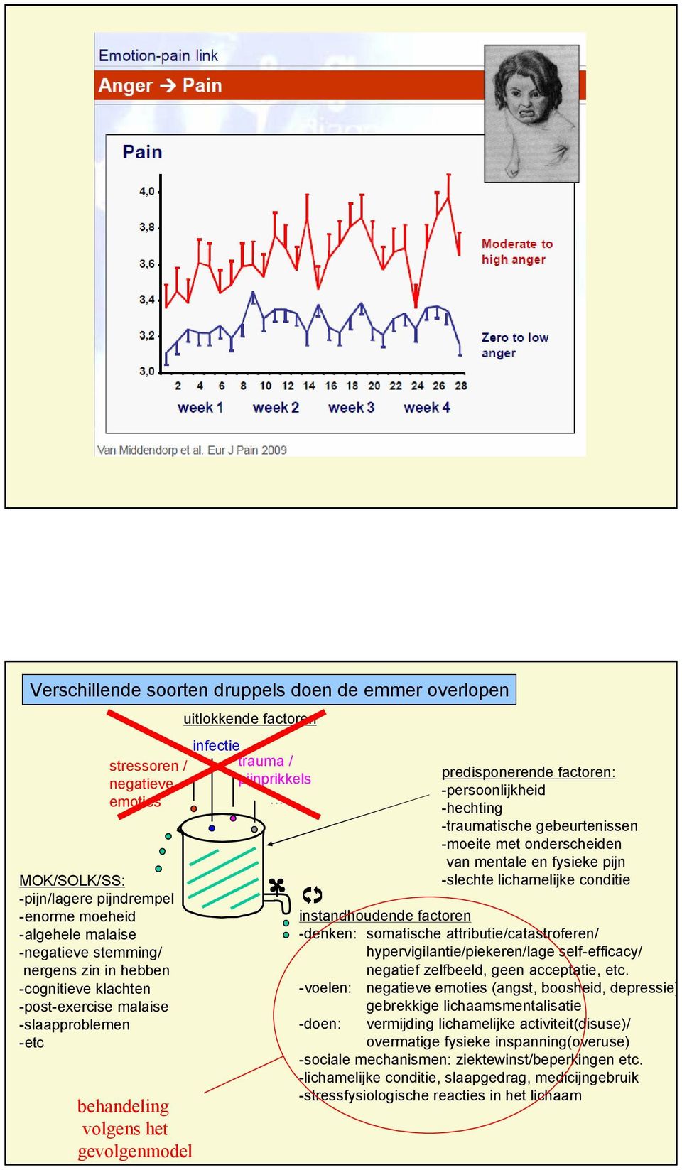 -persoonlijkheid -hechting -traumatische gebeurtenissen -moeite met onderscheiden van mentale en fysieke pijn -slechte lichamelijke conditie instandhoudende factoren -denken: somatische