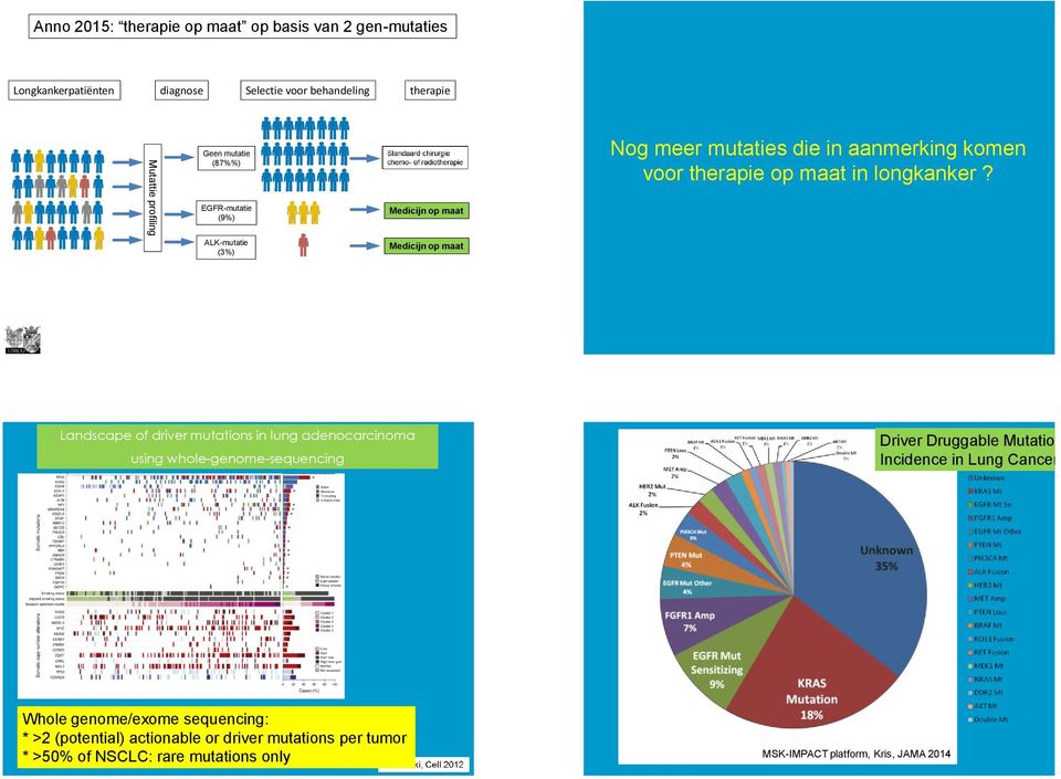 Landscape of driver mutations in lung adenocarcinoma using whole-genome-sequencing Driver Druggable Mutation Incidence in Lung Cancers Whole