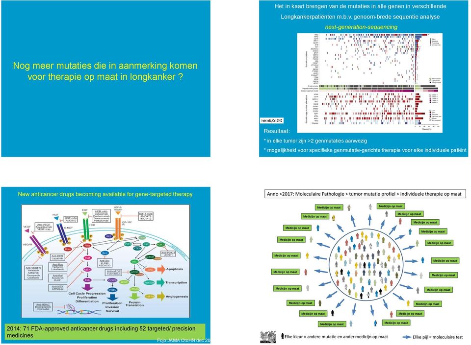 available for gene-targeted therapy Anno >2017: Moleculaire Pathologie > tumor mutatie profiel > individuele therapie op maat 2014: 71 FDA-approved anticancer drugs including 52