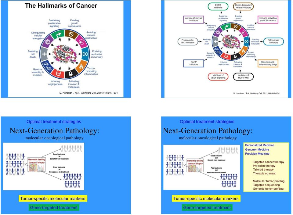 Targeted cancer therapy Precision therapy Tailored therapy Therapie op maat Molecular tumor profiling Targeted sequencing