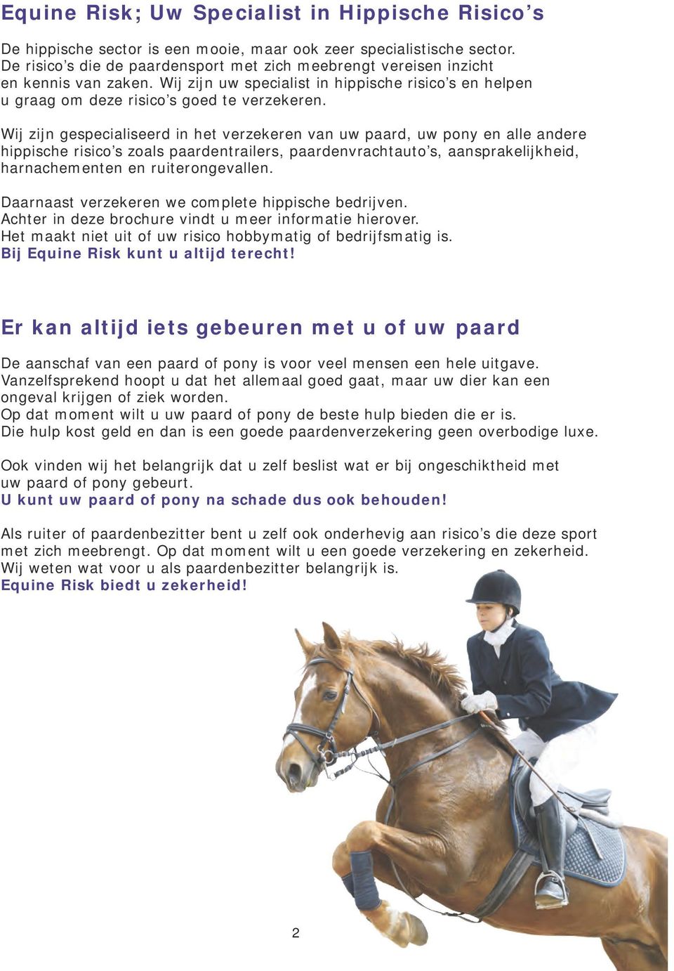 Wij zijn gespecialiseerd in het verzekeren van uw paard, uw pony en alle andere hippische risico s zoals paardentrailers, paardenvrachtauto s, aansprakelijkheid, harnachementen en ruiterongevallen.