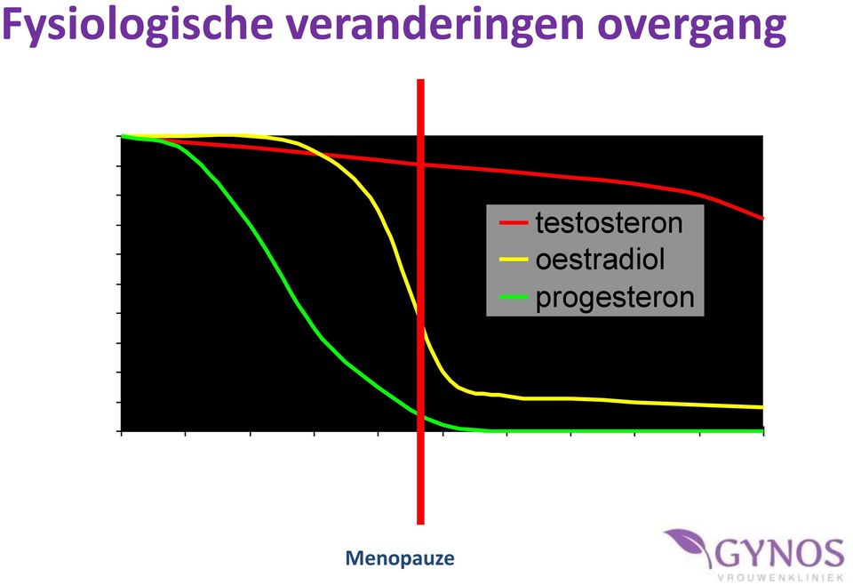 testosteron oestradiol progesteron 42