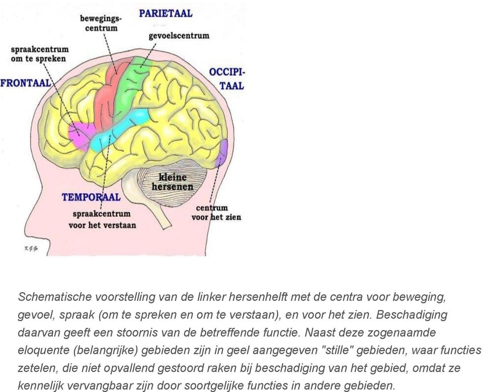 Naast deze zogenaamde eloquente (belangrijke) gebieden zijn in geel aangegeven "stille" gebieden, waar functies zetelen,