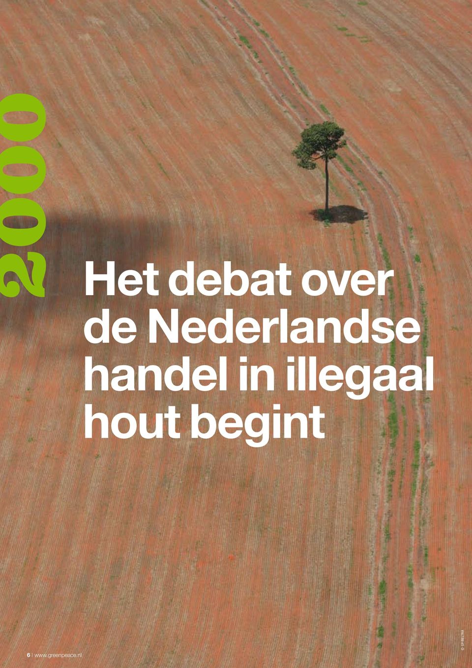 illegaal hout begint 6