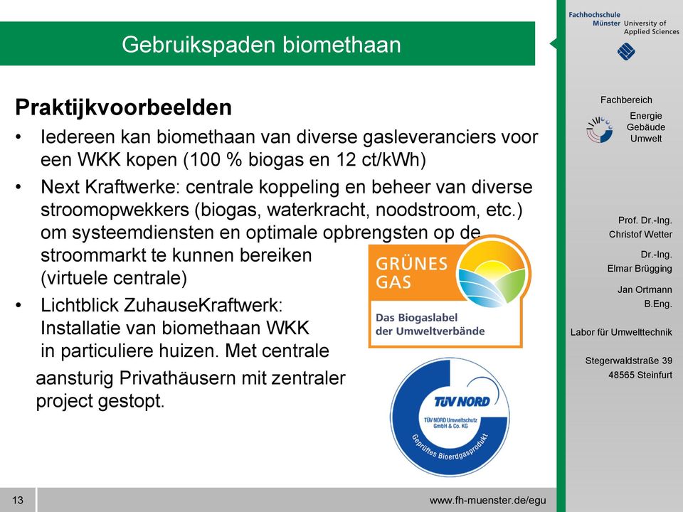 ) om systeemdiensten en optimale opbrengsten op de stroommarkt te kunnen bereiken (virtuele centrale) Lichtblick ZuhauseKraftwerk: