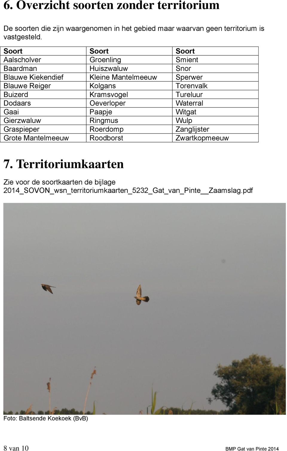 Kramsvogel Tureluur Dodaars Oeverloper Waterral Gaai Paapje Witgat Gierzwaluw Ringmus Wulp Graspieper Roerdomp Zanglijster Grote Mantelmeeuw Roodborst