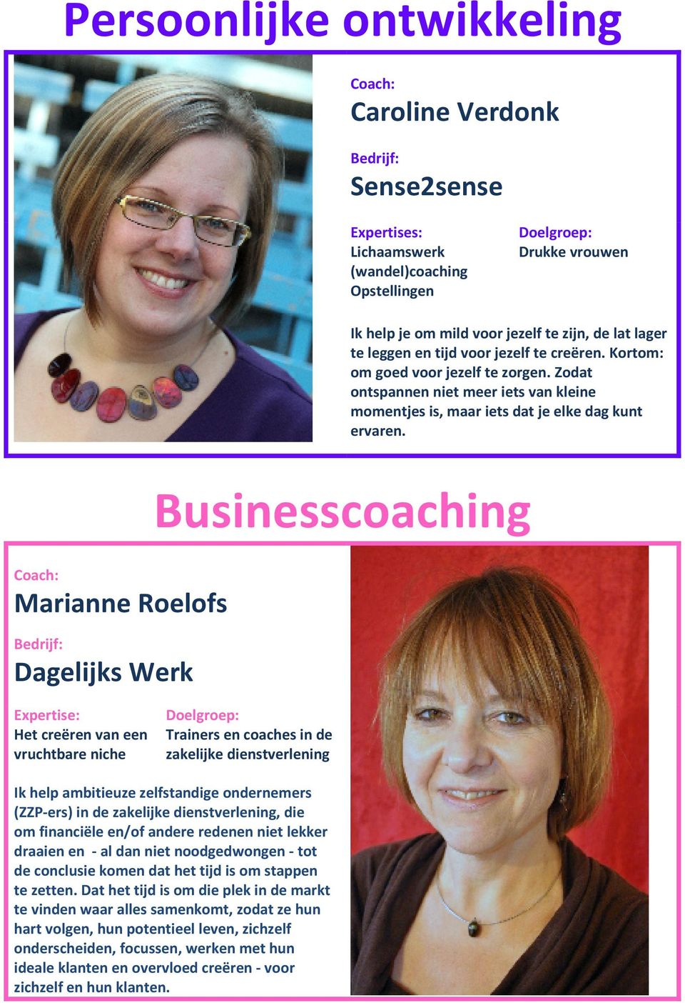Marianne Roelofs Dagelijks Werk Businesscoaching Het creëren van een vruchtbare niche Trainers en coaches in de zakelijke dienstverlening Ik help ambitieuze zelfstandige ondernemers (ZZP-ers) in de