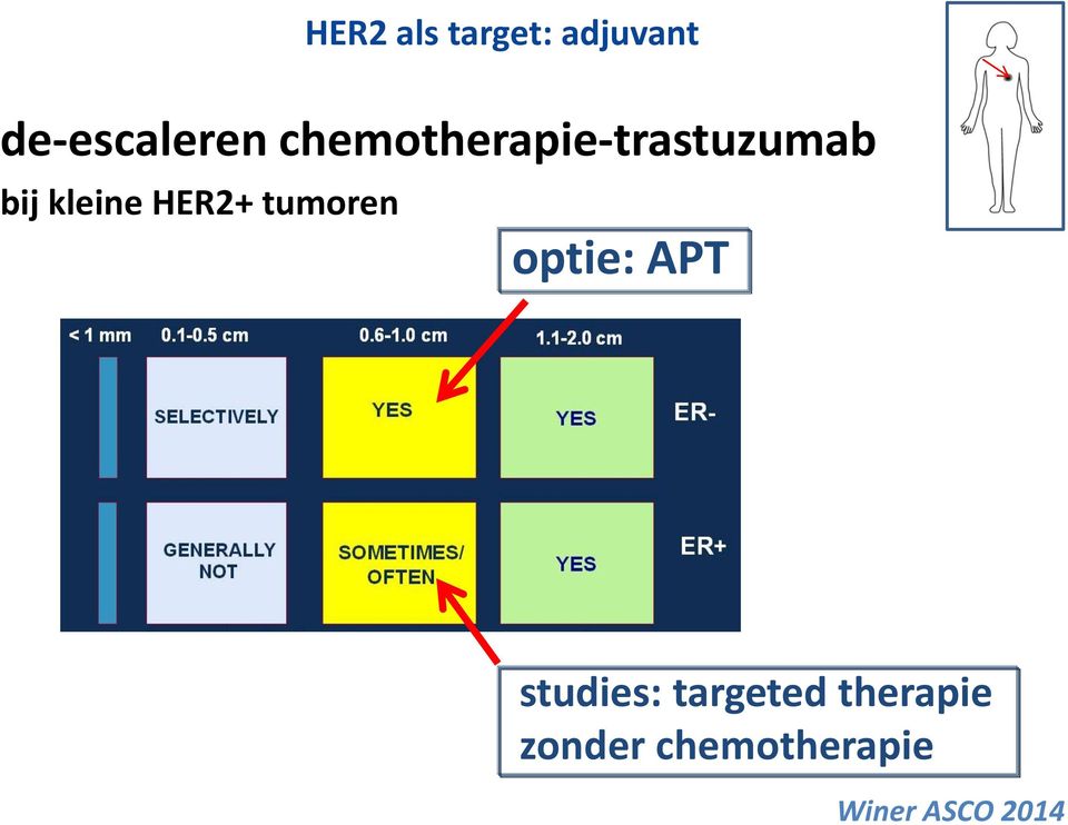HER2+ tumoren optie: APT studies: