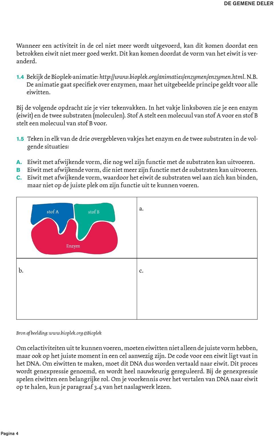 Bij de volgende opdracht zie je vier tekenvakken. In het vakje linksboven zie je een enzym (eiwit) en de twee substraten (moleculen).