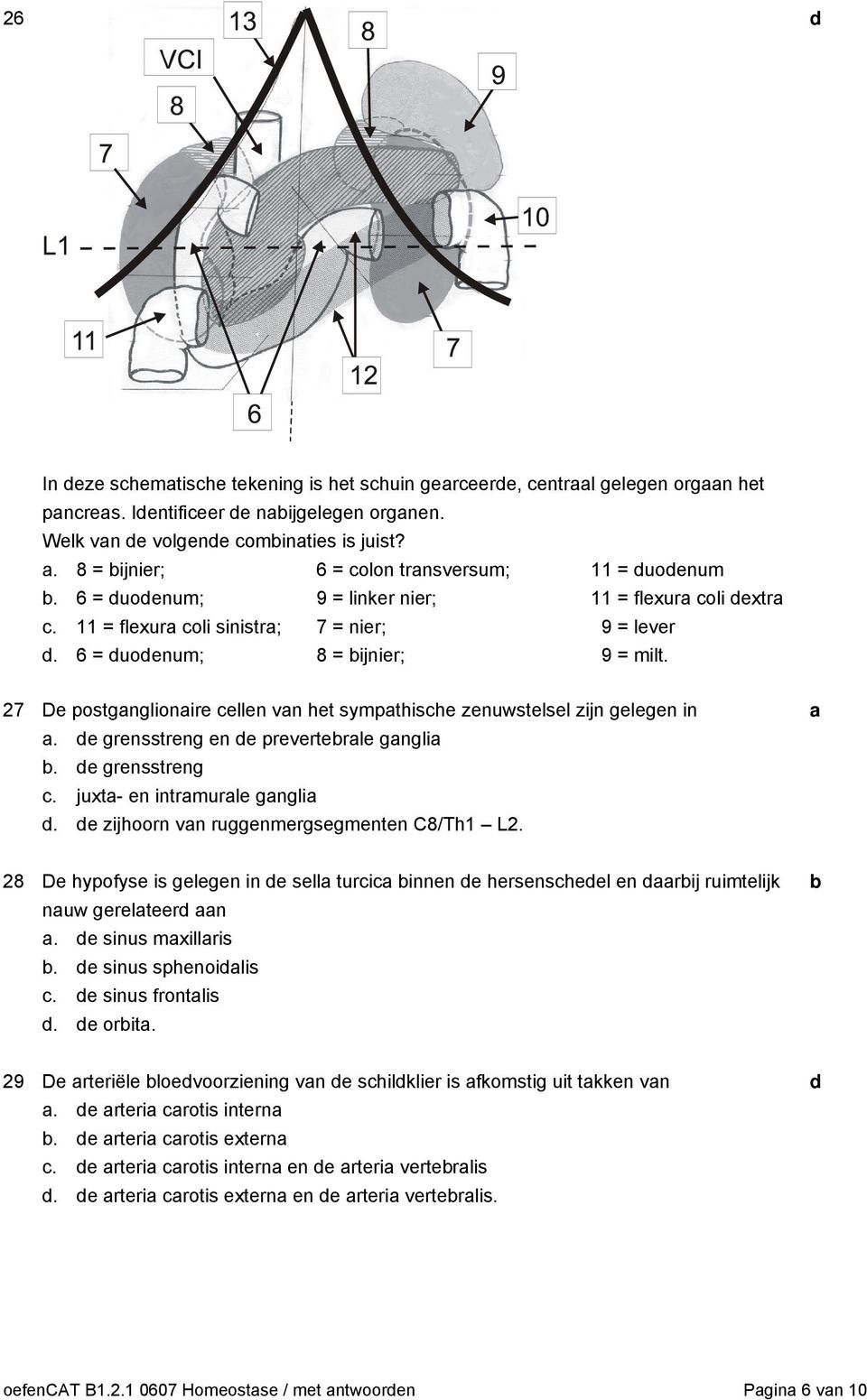 27 De postgnglionire ellen vn het sympthishe zenuwstelsel zijn gelegen in. e grensstreng en e preverterle gngli. e grensstreng. juxt- en intrmurle gngli. e zijhoorn vn ruggenmergsegmenten C8/Th1 L2.