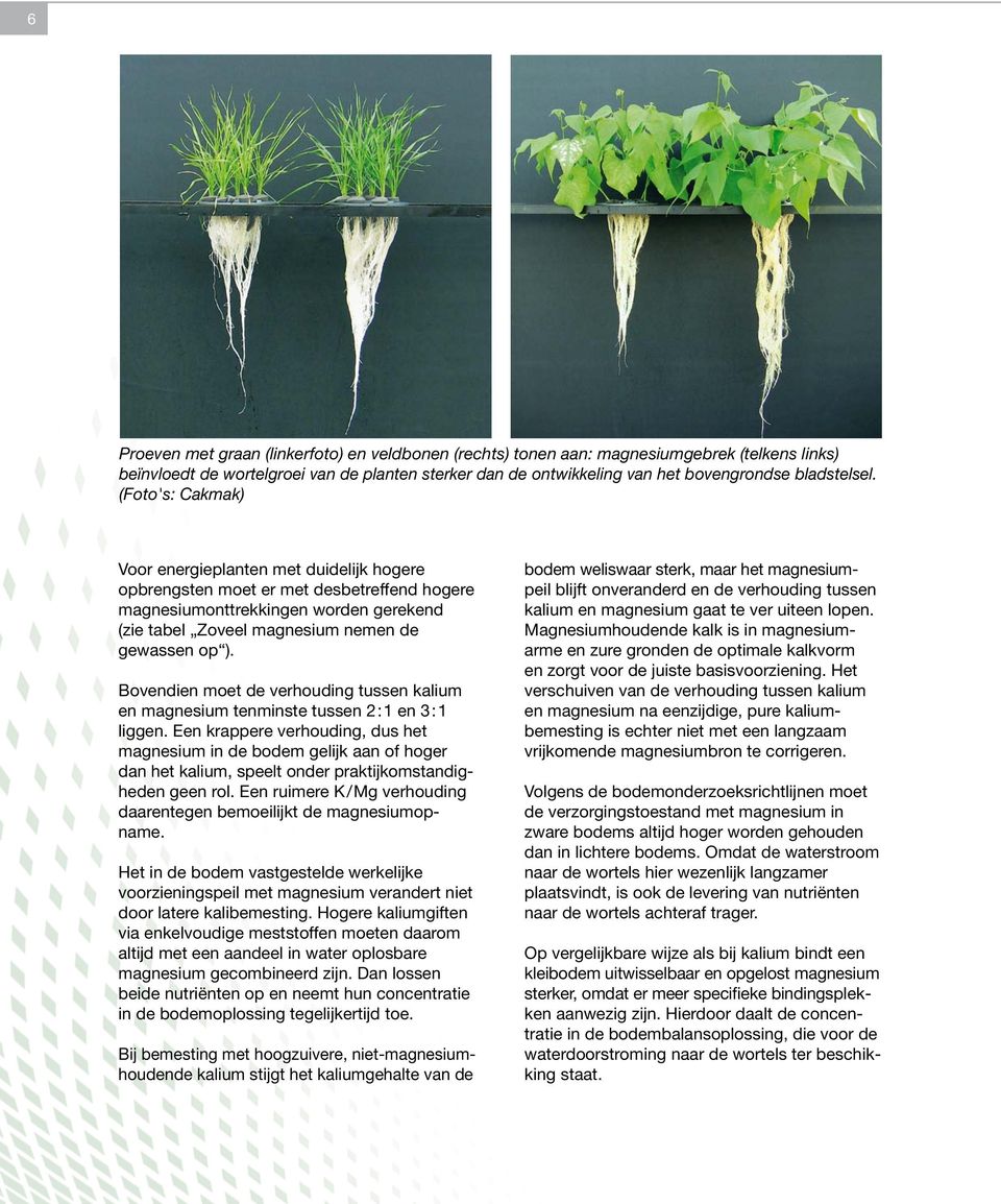 Bovendien moet de verhouding tussen kalium en magnesium tenminste tussen 2:1 en 3:1 liggen.