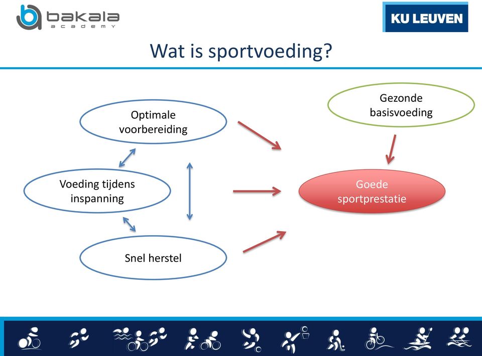 basisvoeding Voeding tijdens