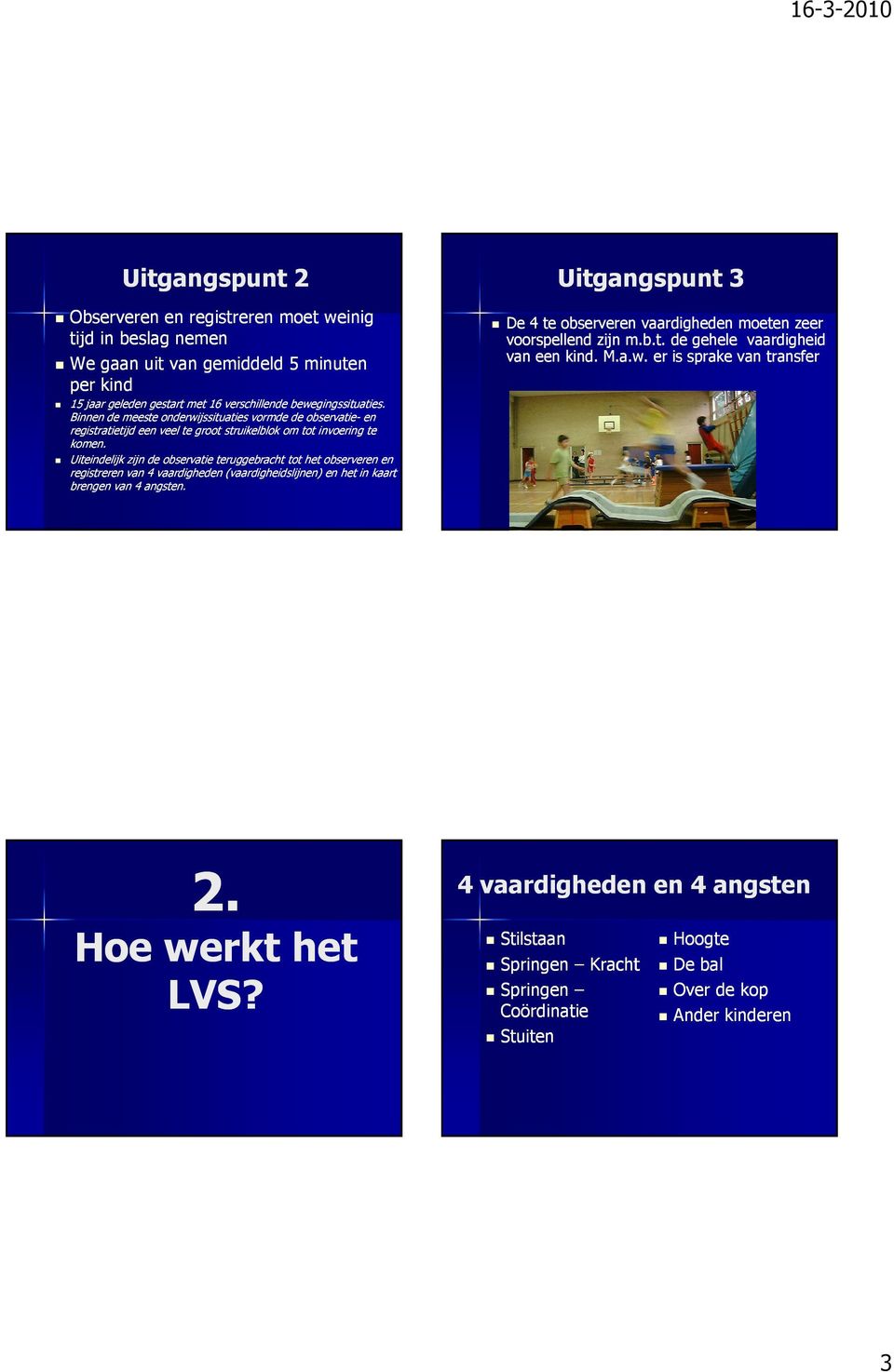 Uiteindelijk zijn de observatie teruggebracht tot het observeren en registreren van 4 vaardigheden (vaardigheidslijnen) en het in kaart brengen van 4 angsten.