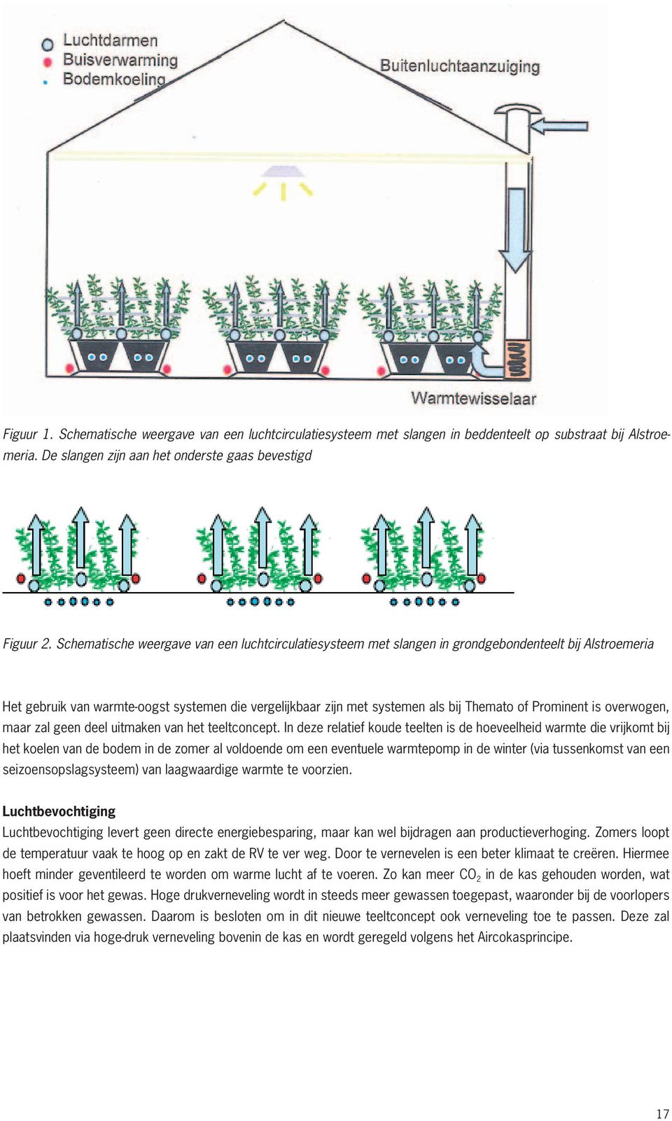 Prominent is overwogen, maar zal geen deel uitmaken van het teeltconcept.