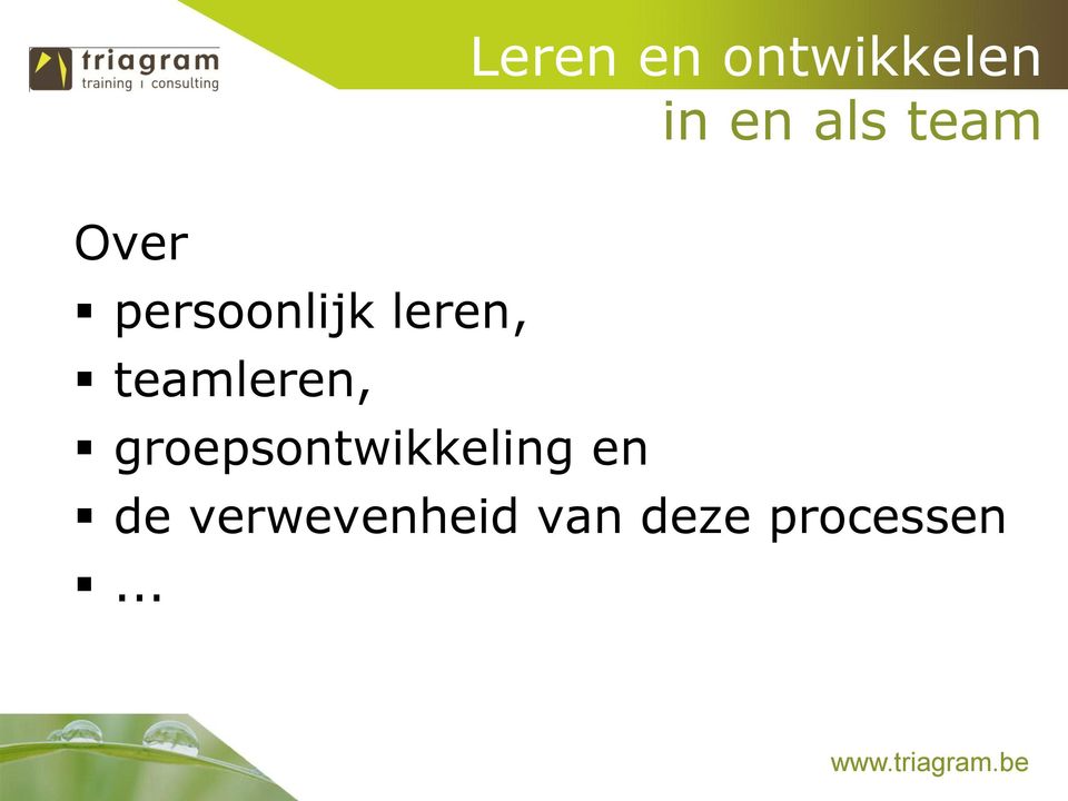 teamleren, groepsontwikkeling en