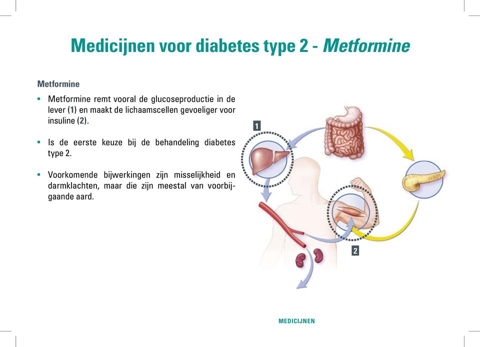 (2). Is de eerste keuze bij de behandeling diabetes type 2.