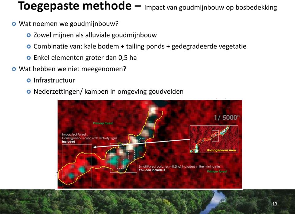 Zowel mijnen als alluviale goudmijnbouw Combinatie van: kale bodem + tailing