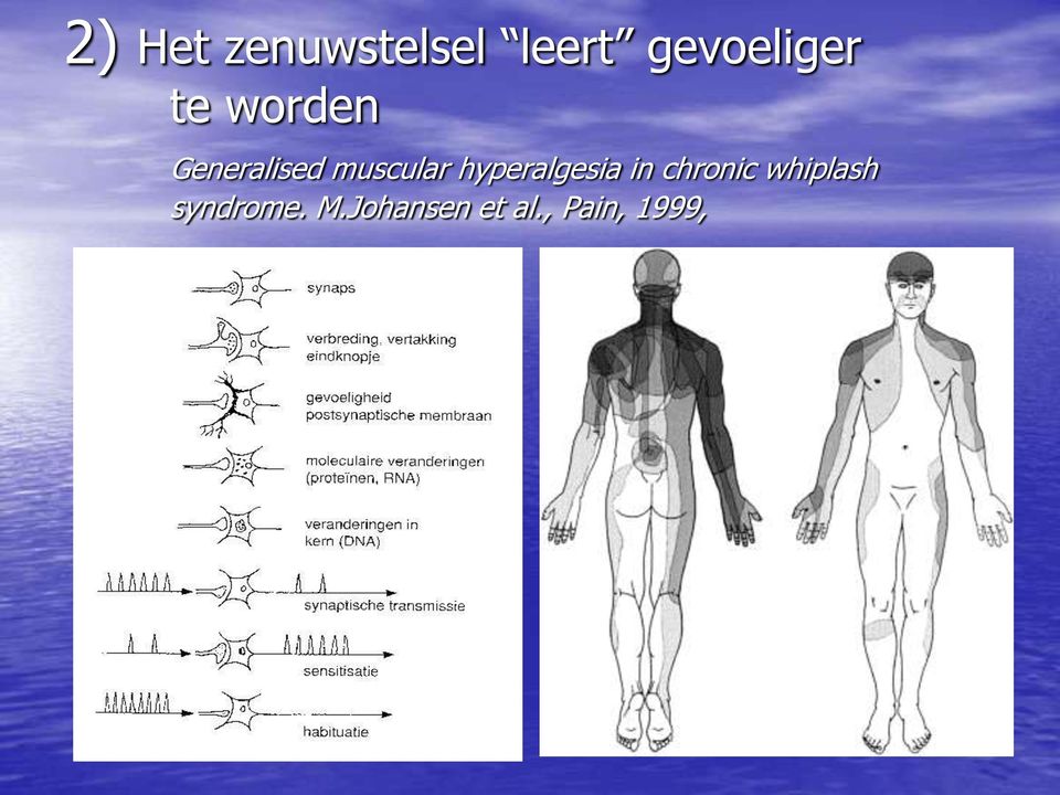 muscular hyperalgesia in chronic