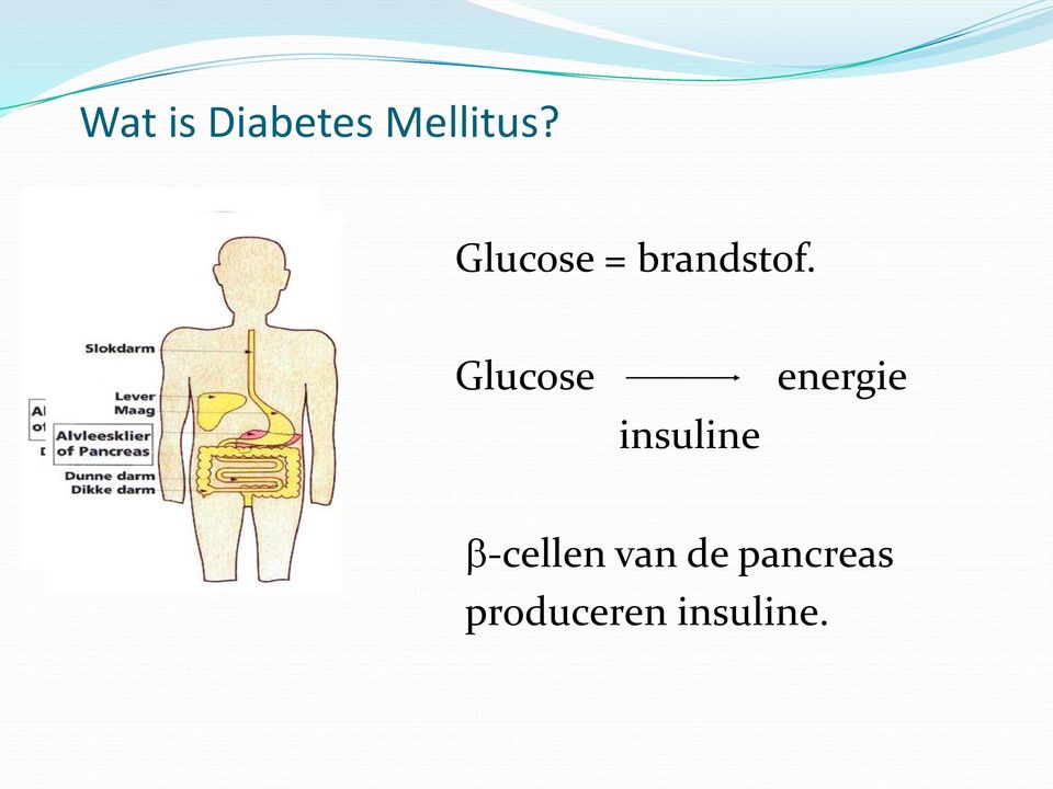 Glucose insuline energie