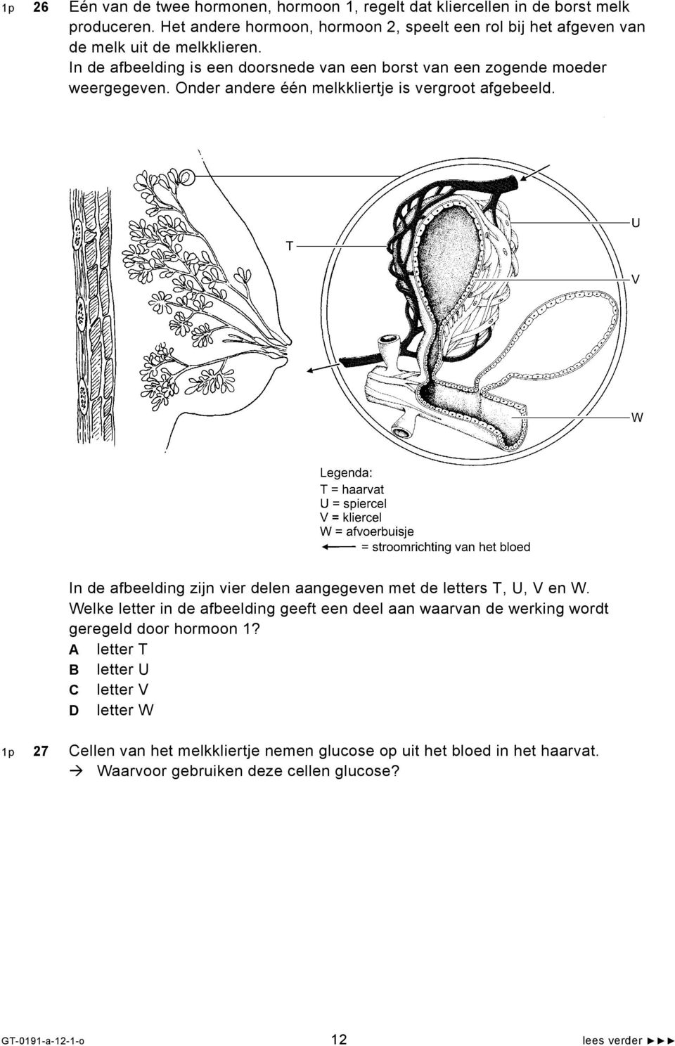 Legenda: T= haarvat U= spiercel V= klierv=cel W= afvoerbuisje = stroomrichting van het bloed In de afbeelding zijn vier delen aangegeven met de letters T, U, V en W.