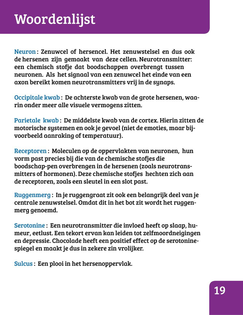 ccipitale kwab : De achterste kwab van de grote hersenen, waarin onder meer alle visuele vermogens zitten. Parietale kwab : De middelste kwab van de cortex.